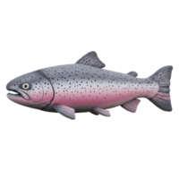 Isolated image displaying a single trout fish with pink and grey coloration on a plain background on transparent background png