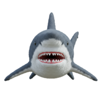 Frontal view of a great white shark with visible teeth on a plain setting looking menacingly ahead on transparent background png