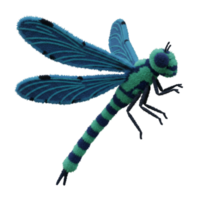 A vibrant teal and green dragonfly with patterned wings against a plain colored backdrop on transparent background png