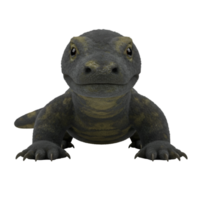 Frontal view of a plush komodo dragon toy with visible claws and a neutral expression on a plain setting on transparent background png