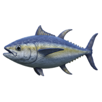 Isolated image showcasing a single tuna with blue and silver coloration on a plain backdrop on transparent background png