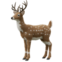 A standing decorative deer with antlers and white spots on its fur in a side profile view isolated on transparent background png