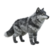 Gray and white wolf standing with a neutral expression in a digitally created image style view from side on transparent background png