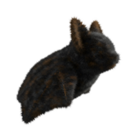A small animal with fur sits in a relaxed position against a plain and featureless isolation space on transparent background png