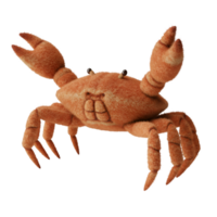 A friendly orange crab with raised claws and a smiling face stands out against a plain backdrop on transparent background png