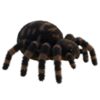 A plush toy spider with brown and tan stripes standing against a plain isolated studio setting view shot on transparent background png