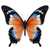Isolated butterfly with orange and blue wings spread open on a plain colored canvas view from above on transparent background png