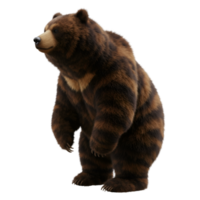 A full body view of a brown bear standing upright with a clear transparent area surrounding the animal on transparent background png