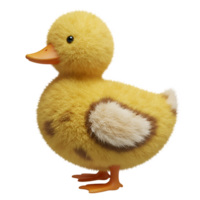 A fluffy yellow duckling standing with its orange beak and feet in a plain setting looking cute and soft on transparent background png