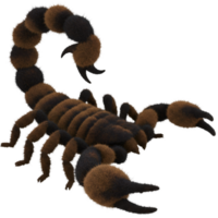 A scorpion with brown and gray stripes and a curved tail with two pinchers in a studio setting on transparent background png