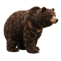 A standing grizzly bear with brown fur and visible claws isolated on a transparent canvas view profile on transparent background png