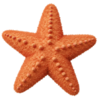 A single orange starfish featuring a textured surface and small bumps against a plain backdrop on transparent background png