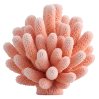 Close up view of a light pink coral formation with soft texture against a plain isolation style on transparent background png