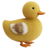 Close up of a fluffy yellow duckling with orange beak and feet on a plain background view from side on transparent background png