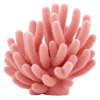 A coral structure with a fluffy texture and a light pink color against a neutral backdrop view from the front on transparent background png
