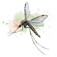 A mosquito with patterned wings and legs against a light watercolor splash design element on a canvas on transparent background png