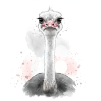 A whimsical ostrich portrait with colorful splashes against a plain backdrop artwork design view on transparent background png