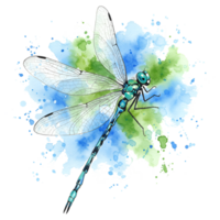 Watercolor painting of a turquoise dragonfly with translucent wings on a colorful splash art piece on transparent background png