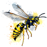 Watercolor style image of a wasp with yellow and stripes and translucent wings on a neutral backdrop on transparent background png
