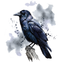 A watercolor style raven perched on a weathered wooden post with a smoky grey and white background effect on transparent background png