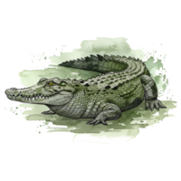 A watercolor style image of an alligator with a green and gray color scheme is presented here on transparent background png