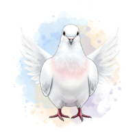 Front facing dove with wings spread against a watercolor splash of blue and gold colors artwork on transparent background png