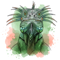 Detailed portrait of a green iguana with watercolor accents and a curious expression on its face on transparent background png