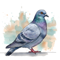 A watercolor style image of a pigeon standing on a ledge with a colorful artistic effect behind it on transparent background png