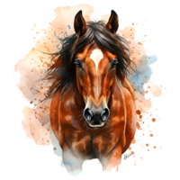 Watercolor painting of a brown horse with a white blaze and flowing mane on a transparent area on transparent background png