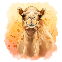 A watercolor style drawing of a camel with a light orange and yellow colored background behind it on transparent background png