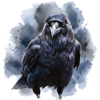 Watercolor style depiction of a crow with a cloud like shape behind it on a transparent layer on transparent background png