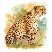Watercolor painting of a cheetah sitting in grass with a colorful abstract splash around it looking right on transparent background png