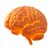 Glowing 3D Brain Model with Simple Design and Radiant Effect png