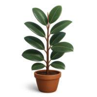 3d modelo do ficus elástica dentro simples Panela Projeto png