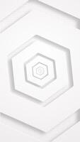 Minimalist clean white geometric background with gently rotating cutout hexagon shapes on a grid pattern. This sleek modern animation is ideal for technology and science projects. HD vertical loop. video
