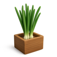 Simple 3D Model of Spring Onion in Wooden Planter Box png