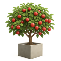 3D Simple Tree with Red Fruits in a Square Pot png