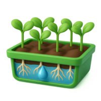 Simple Hydroponic Tray for Root Growth and Plant Development png