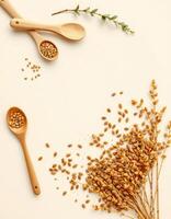 Oat grains and wooden spoons with oat stalks light background creating natural and warm photo