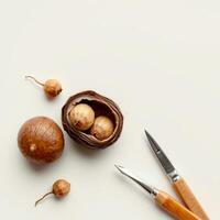 Small brown nut shell with peeled nuts and carving knives on white background photo