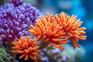 Vibrant zoanthids coral polyps thriving on reef, underwater marine biodiversity showcase photo