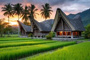 Traditional tongkonan houses glowing at sunset in a rice paddy field, tana toraja regency, south sulawesi, indonesia photo