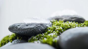 A close up of moss and rocks with water photo