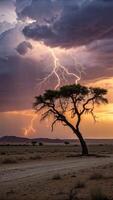 Lightning strikes over a lone tree in the Namibian desert at sunset photo