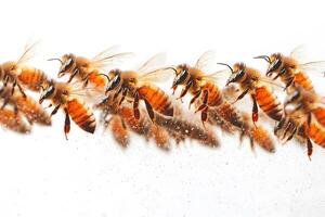 Dynamic Honeybee Swarm in Motion for Nature and Wildlife Concepts photo