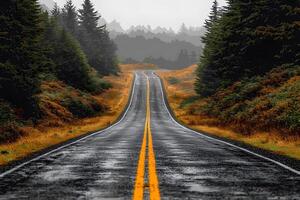Serene Rainy Highway Through Lush Evergreen Forest for Nature Travel Concepts photo