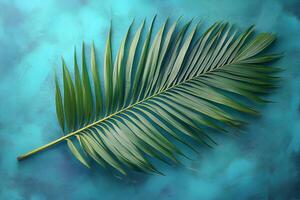 Tropical Palm Leaf on Textured Turquoise Background for Nature and Design Concepts photo