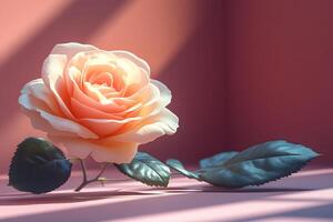 Elegant Peach Rose in Sunlit Setting - Perfect for Romantic Designs and Wedding Decor photo