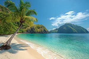 Tropical Paradise Beach with Clear Blue Waters and Lush Greenery for Vacation Design photo