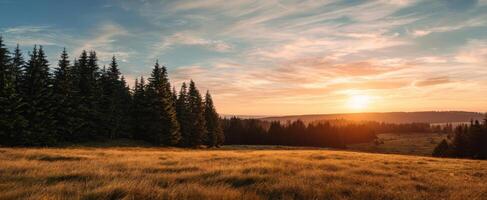 The breathtaking sunset over a serene forest landscape in golden light. photo